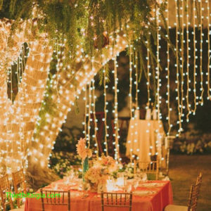 Đèn LED rèm thả mành mưa 3x2m 10 sợi thả mỗi sợi dài 2m màu vàng