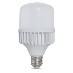 Bóng đèn LED BULB Trụ Rạng Đông nhôm đúc 20W