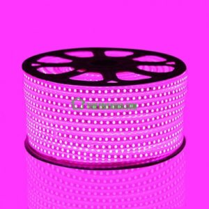 Đèn LED dây 1 đường bóng 3014 màu hồng cuộn 100 mét