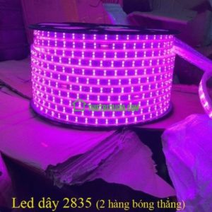 Đèn LED dây 2 hàng bóng 2835 màu hồng cuộn 100m