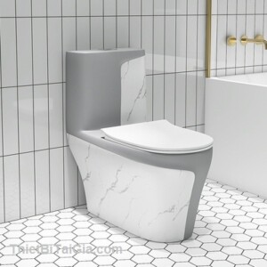 Bồn cầu khối vân đá nửa xám Aqua Ceramic-BC2237