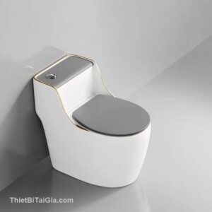 Bồn cầu khối nắp xám viền vàng Aqua Ceramic BC4000
