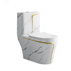 Bồn cầu 1 khối vân đá viền vàng Aqua Ceramic BC2233