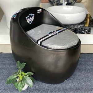 Bồn cầu quả trứng màu đen Aqua Ceramic BC2294