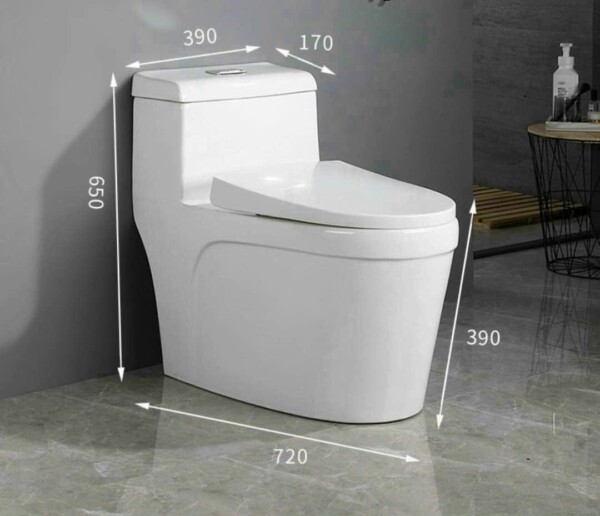 Bồn cầu 1 khối men Aqua Ceramic BC2225