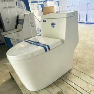 Bồn cầu 1 khối men Aqua Ceramic BC2242