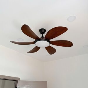 Quạt trần 6 cánh màu nâu gỗ có đèn sải cánh 122cm động cơ DC NORIS QTT-6CN170