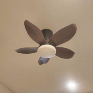 Quạt trần mini đường kính nhỏ 65cm nâu đen có đèn NORIS QTT-5CNN135