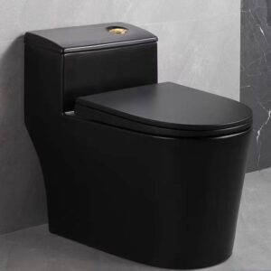 Bồn cầu 1 khối lùn màu đen men Aqua Ceramic BC2288B