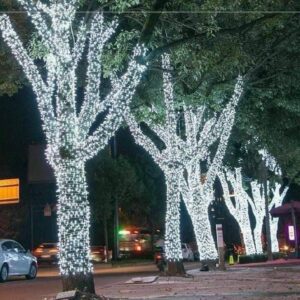 Dây led quấn cây ngoài trời điện 12V ánh sáng vàng nắng vàng đậm trắng xanh dương xanh lá đỏ hồng F5D8