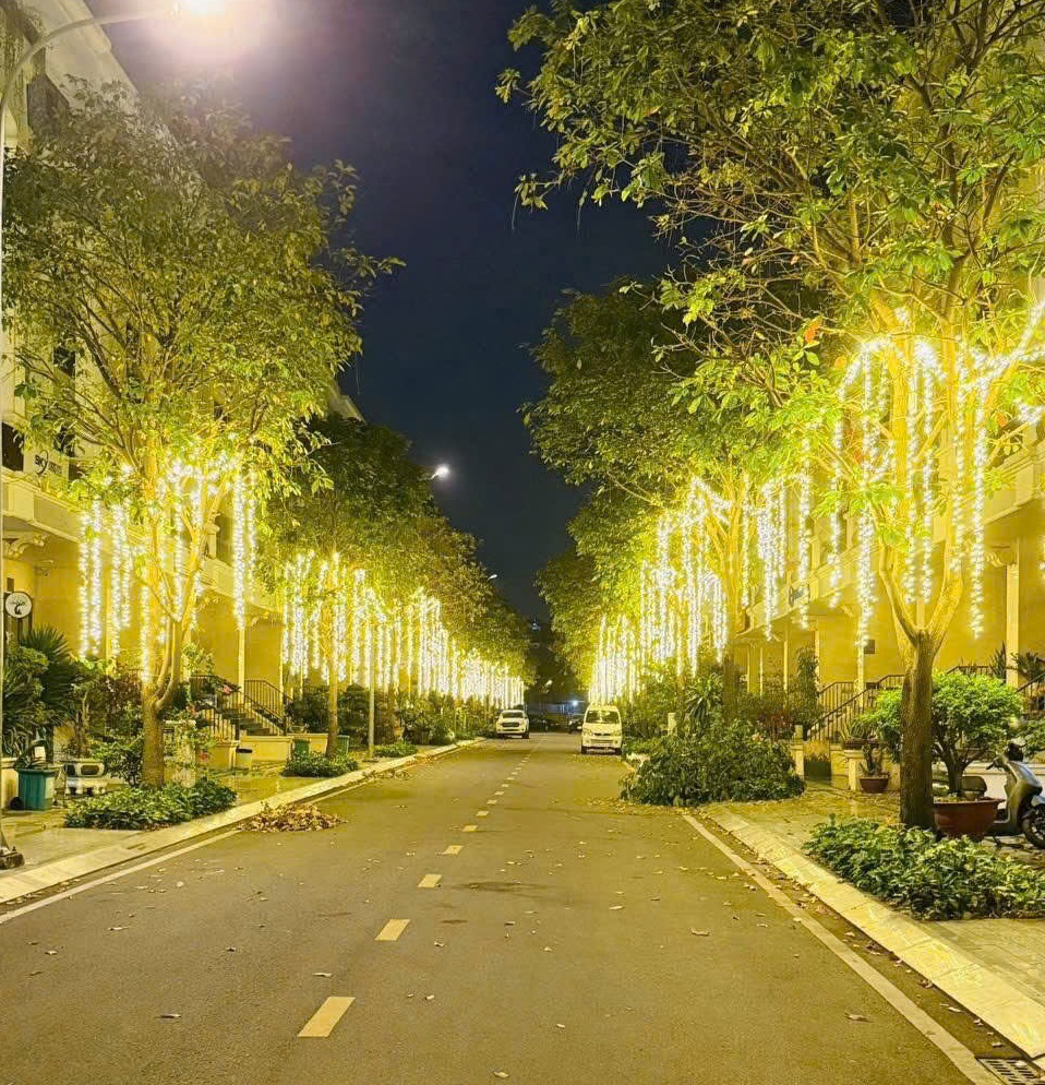 Dây led quấn cây ngoài trời điện 12V ánh sáng vàng nắng vàng đậm trắng xanh dương xanh lá đỏ hồng F5D8 - Hình ảnh 3